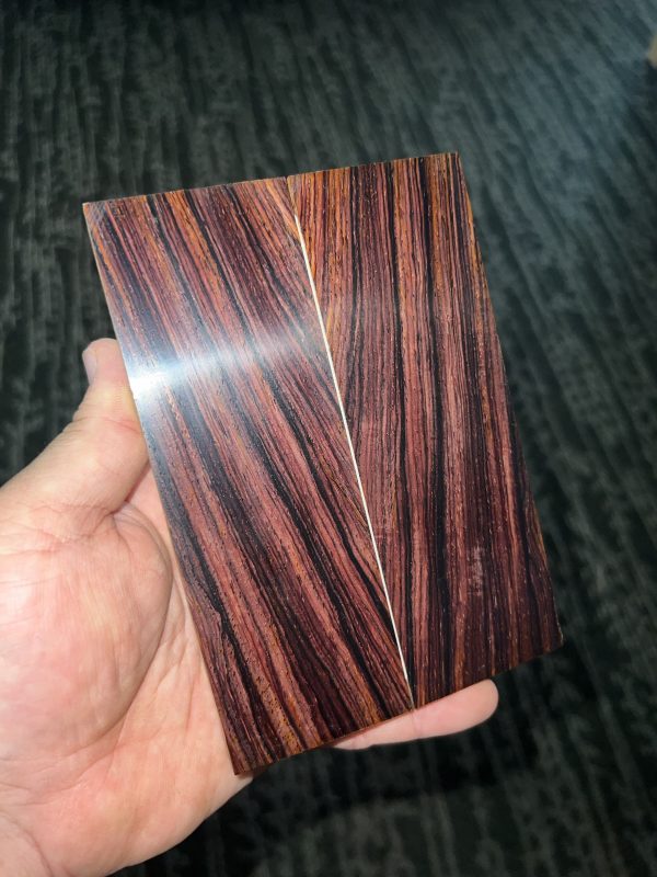 Cocobolo scales!