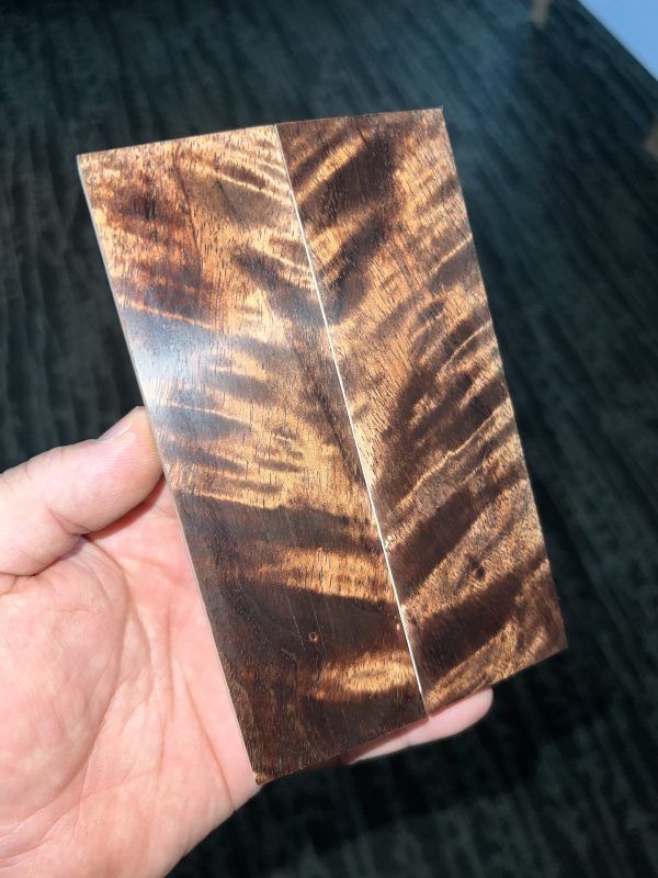 Curly Koa scales!