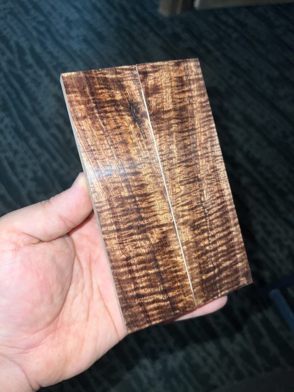 Curly Koa scales!