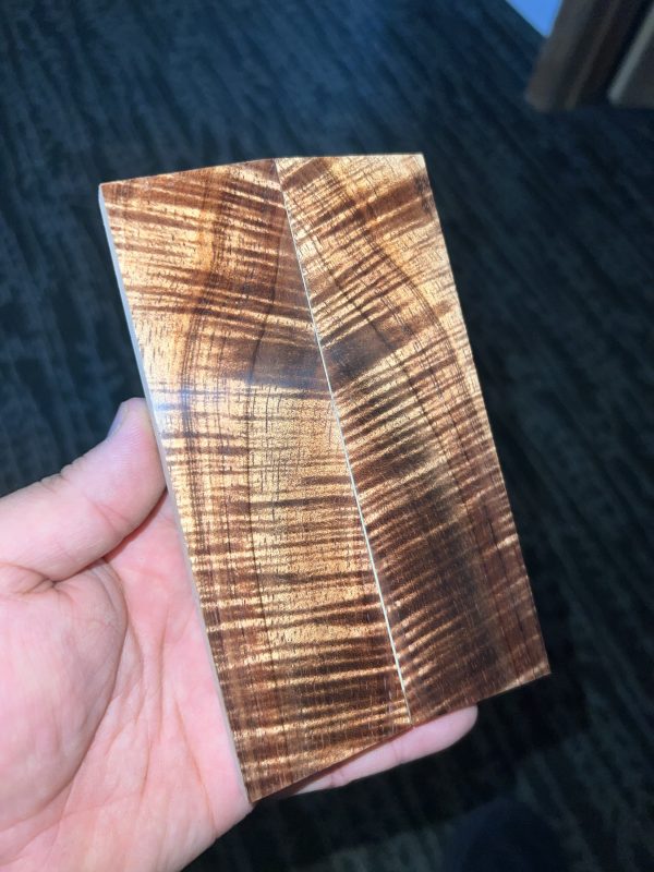 Curly Koa scales!