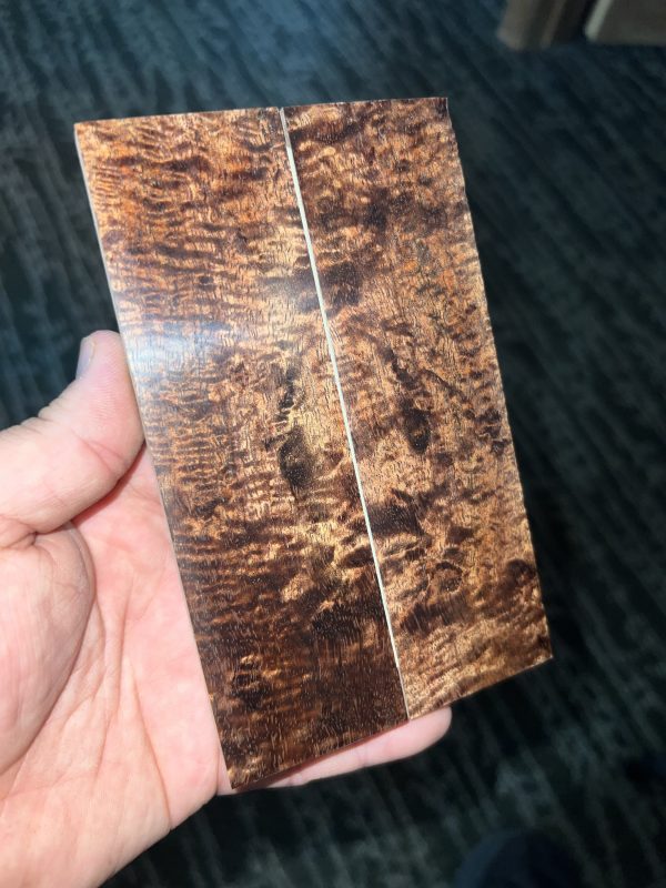 Curly Koa scales!