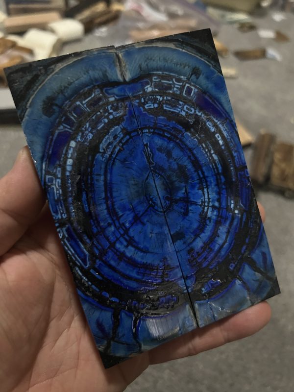 Blue mammoth tusk