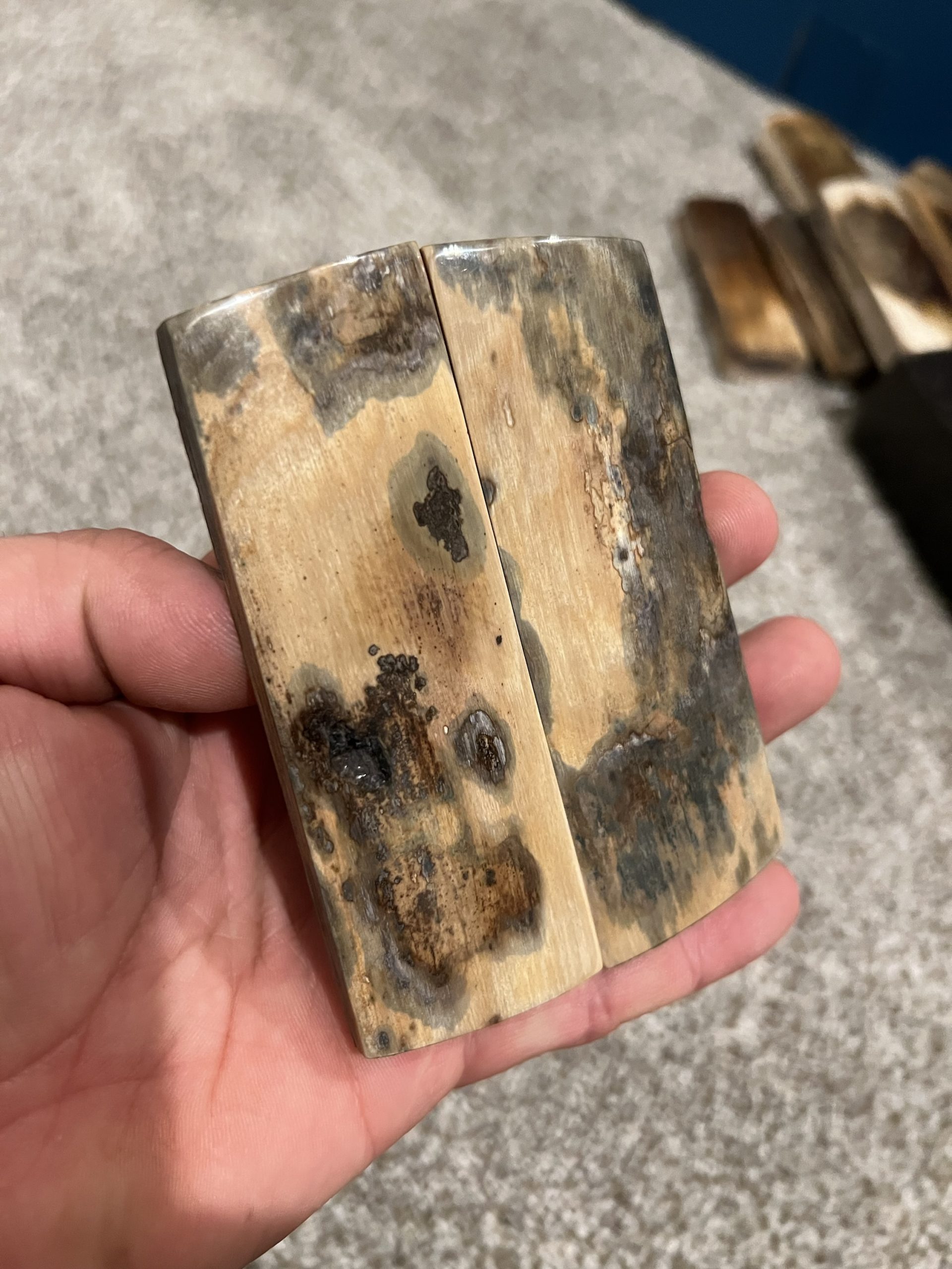 Mammoth bark scales!