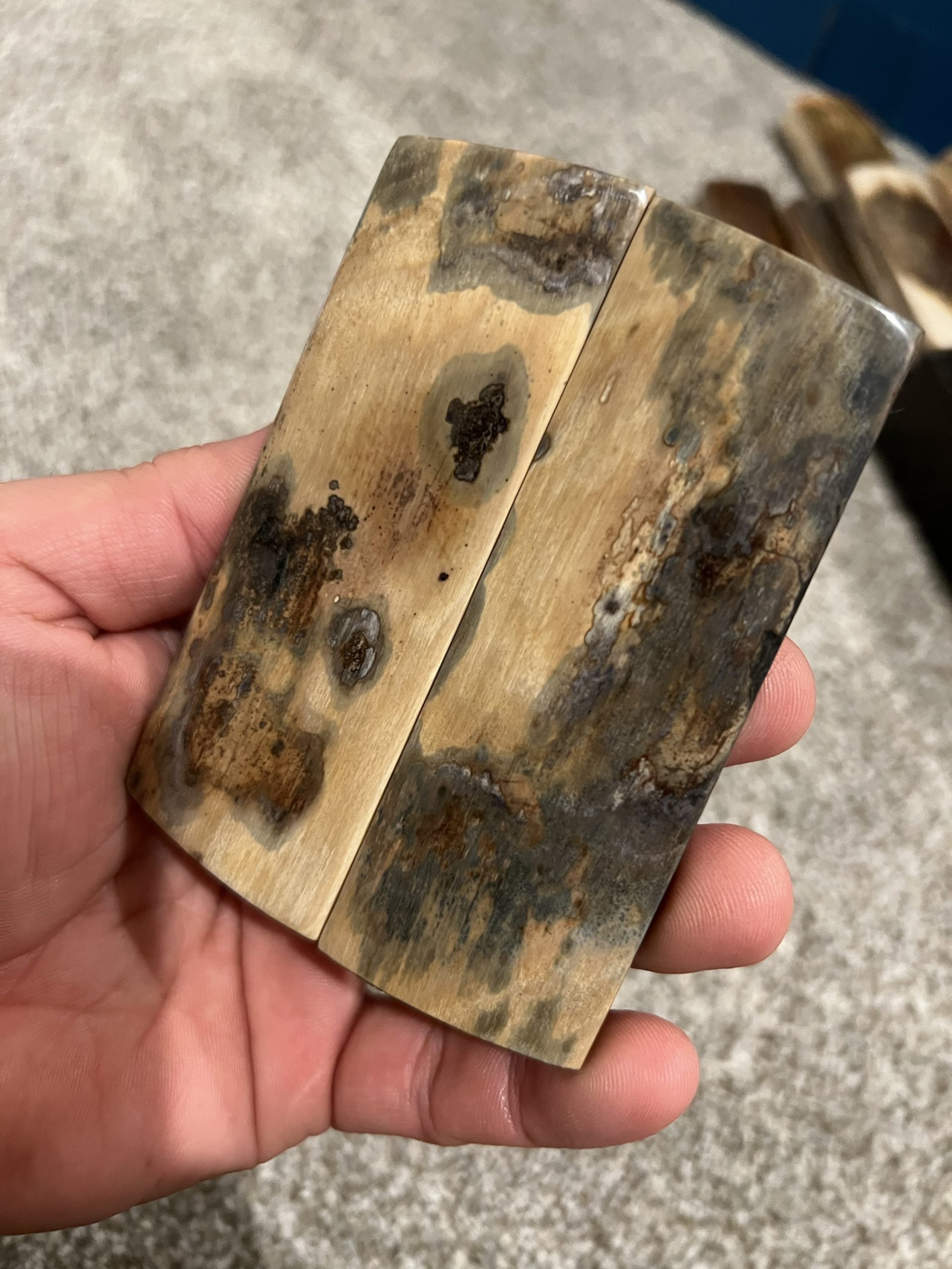 Mammoth bark scales! - Image 2