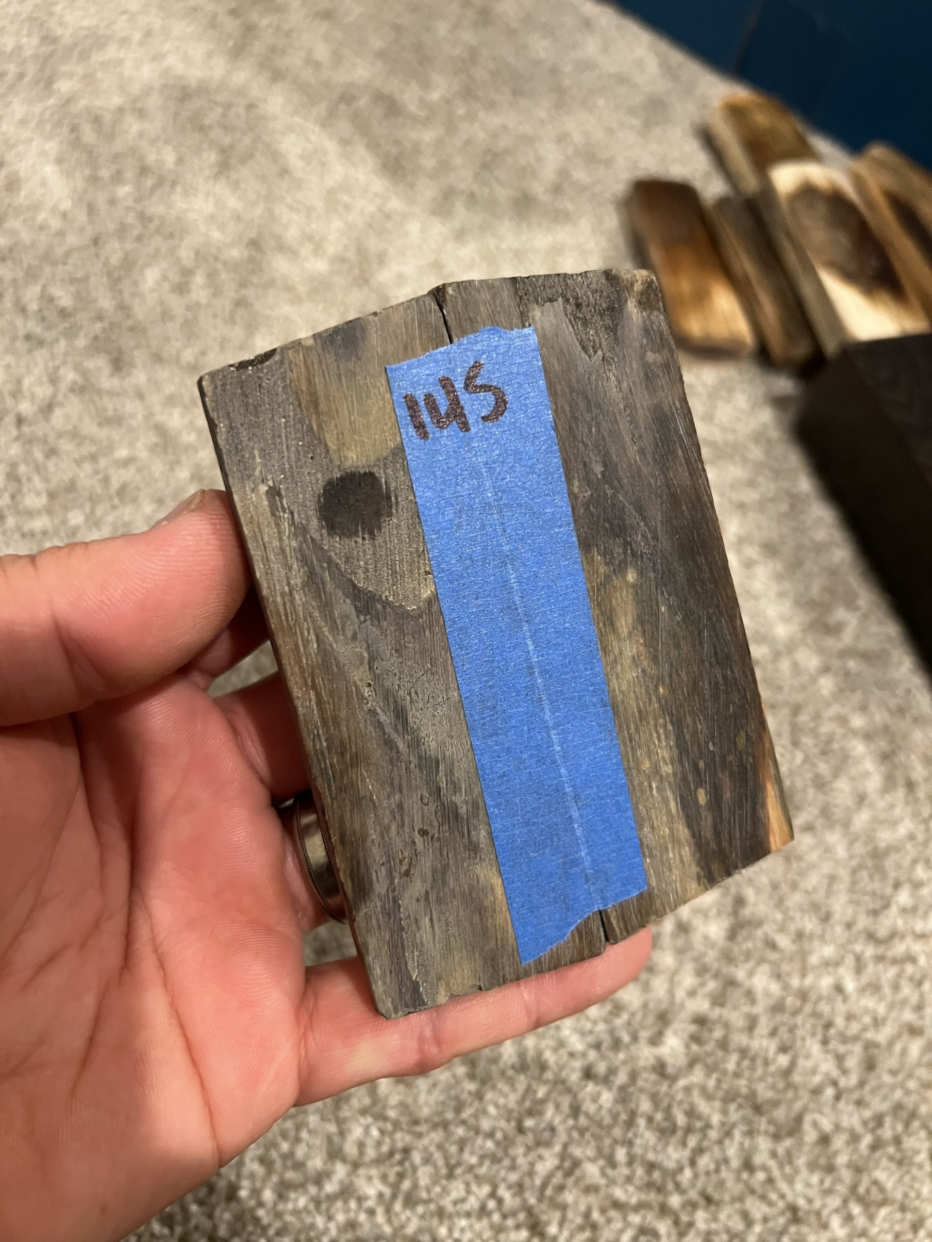 Mammoth bark scales! - Image 3