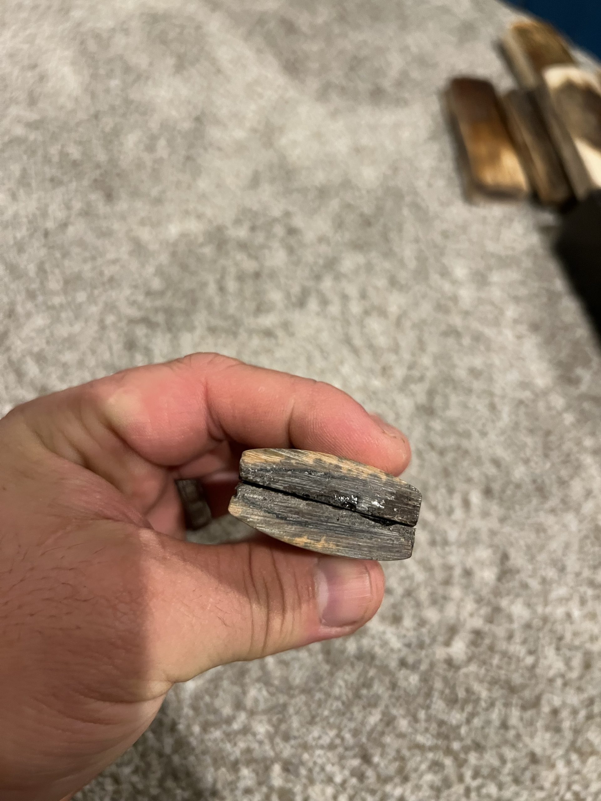 Mammoth bark scales! - Image 4