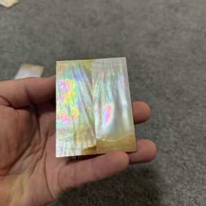 Golden mother of pearl scales