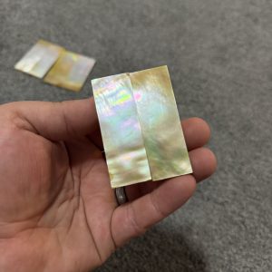 Golden mother of pearl scales!