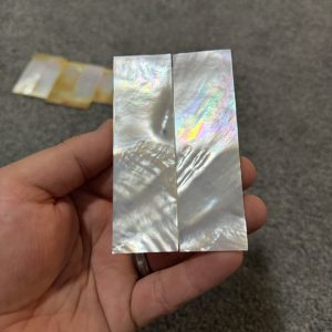 White mother of pearl scales!