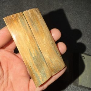 Mammoth bark scales