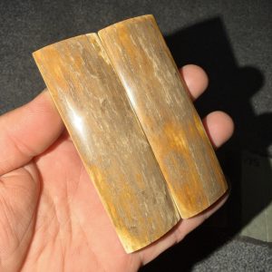 Mammoth bark scales!
