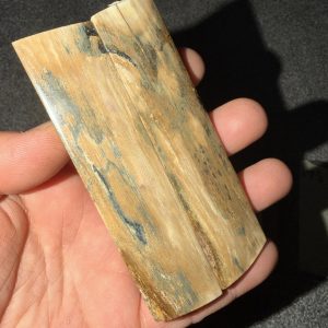 Mammoth bark scales!