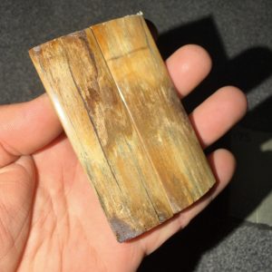 Mammoth bark scales!