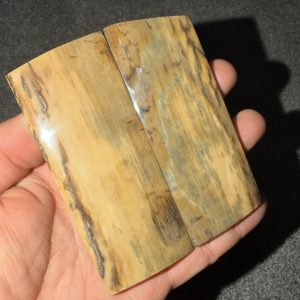 Mammoth bark scales!
