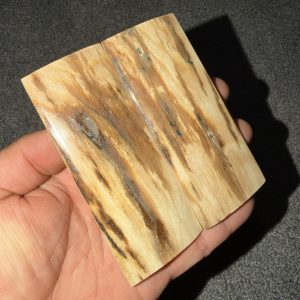 Mammoth bark scales!