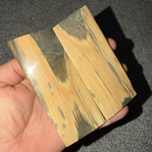Mammoth bark scales!