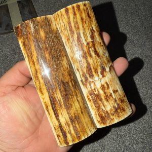 Mammoth bark scales!