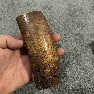 Fossil walrus tusk block!