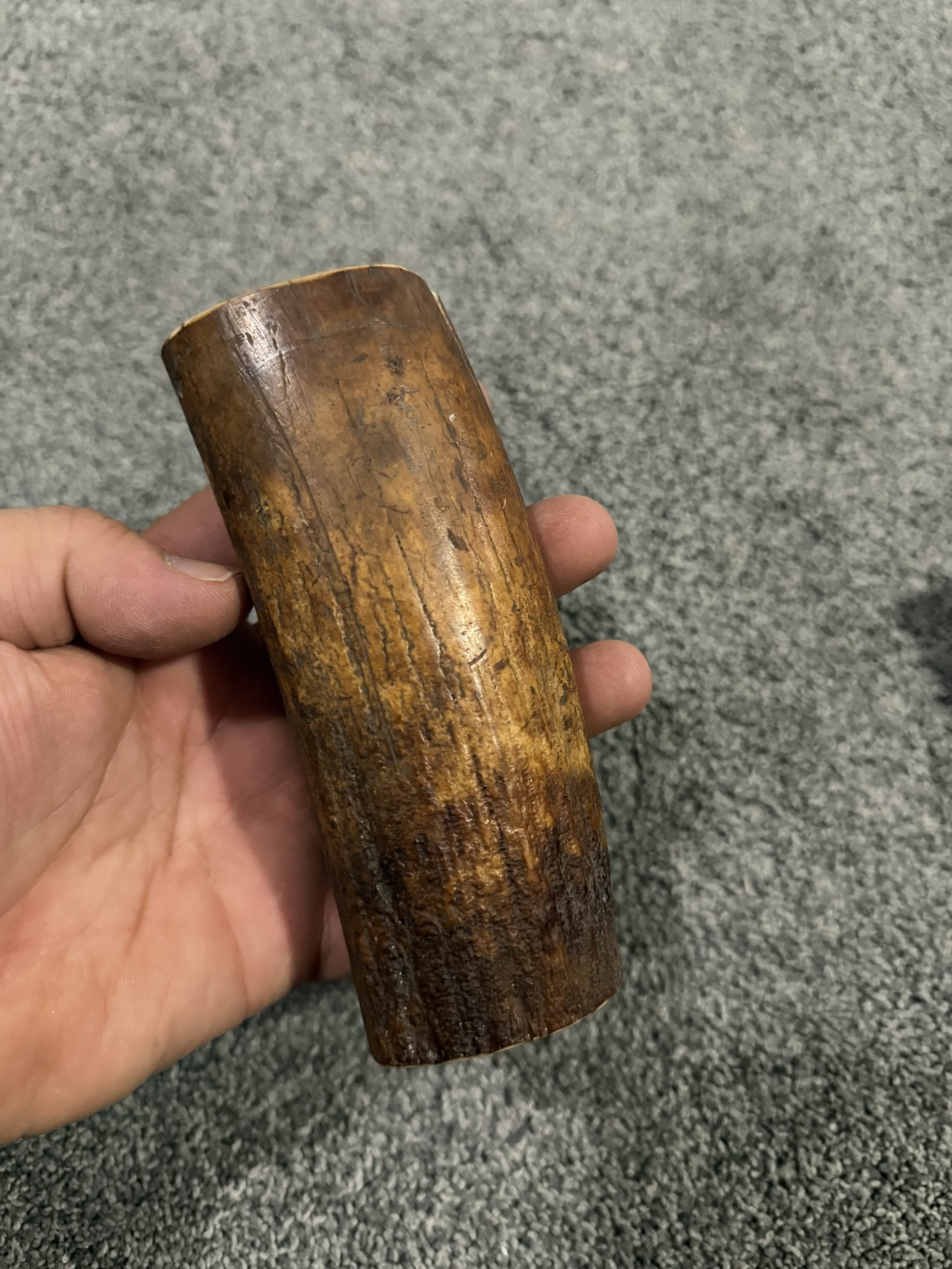 Fossil walrus tusk block!