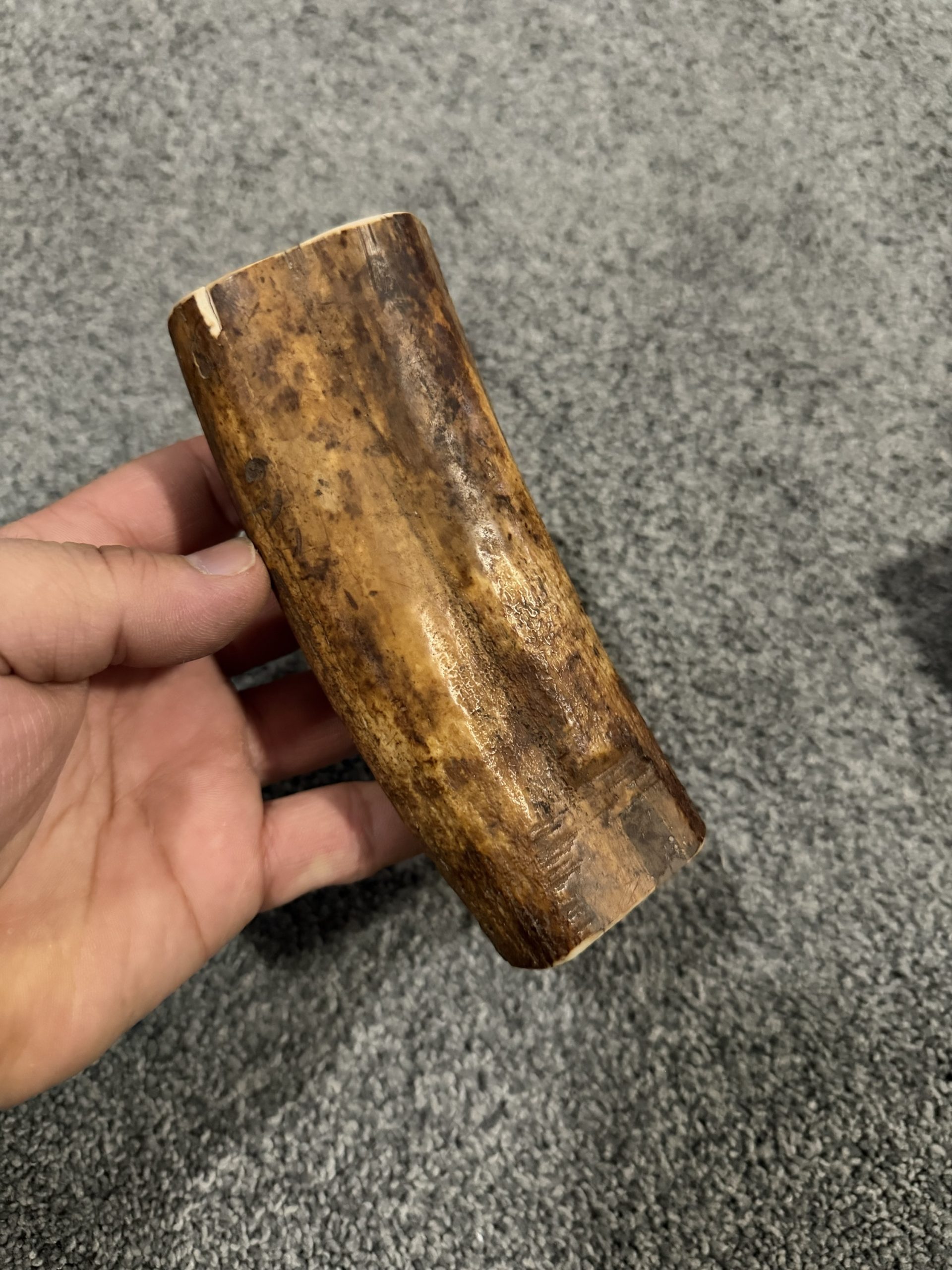 Fossil walrus tusk block! - Image 2