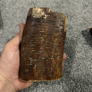 Fossil walrus block!